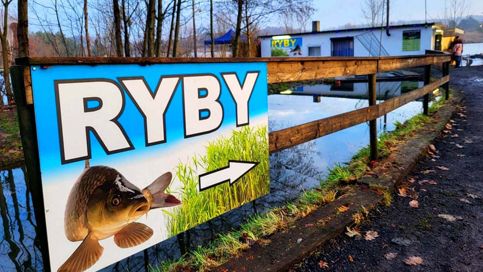 Świąteczny karp